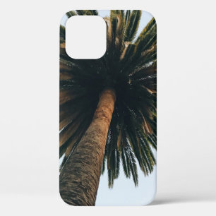 Worm eye photography of palm tree iPhone 12 case