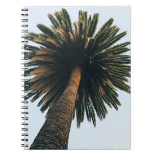 Worm eye photography of palm tree notebook