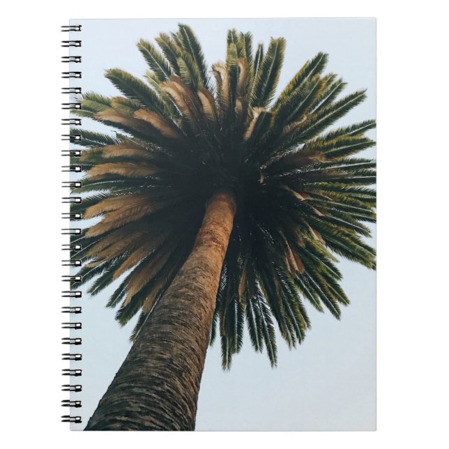 Worm eye photography of palm tree notebook (Front)