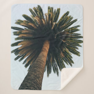 Worm eye photography of palm tree sherpa blanket