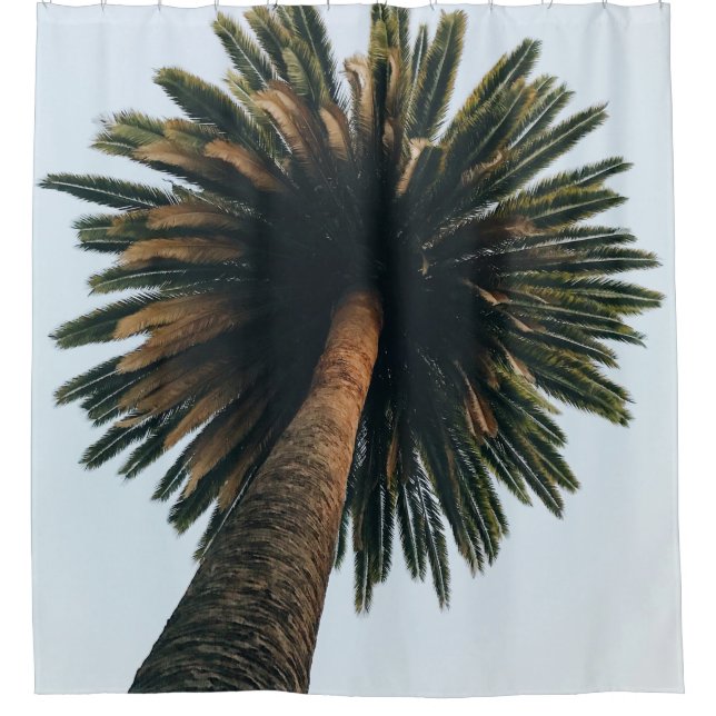 Worm eye photography of palm tree shower curtain (Front)