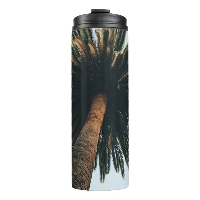 Worm eye photography of palm tree thermal tumbler (Front)