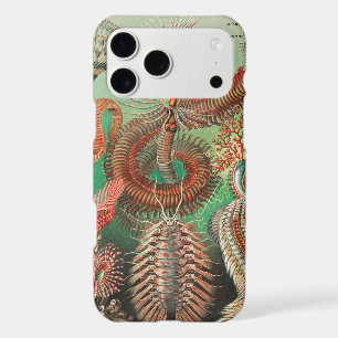 Worms, Annelids Chaetopoda by Ernst Haeckel
