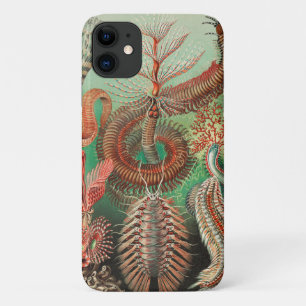 Worms, Annelids Chaetopoda by Ernst Haeckel iPhone 11 Case