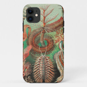 Worms, Annelids Chaetopoda by Ernst Haeckel iPhone 11 Case