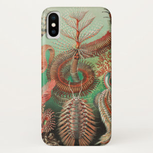 Worms, Annelids Chaetopoda by Ernst Haeckel iPhone X Case