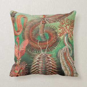 Worms, Annelids Chaetopoda by Ernst Haeckel Cushion