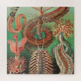 Worms, Annelids Chaetopoda by Ernst Haeckel Jigsaw Puzzle