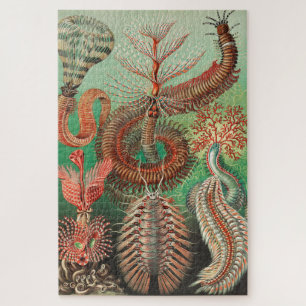 Worms, Annelids Chaetopoda by Ernst Haeckel Jigsaw Puzzle
