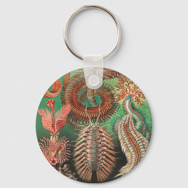 Worms, Annelids Chaetopoda by Ernst Haeckel Key Ring (Front)