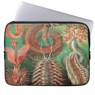 Worms, Annelids Chaetopoda by Ernst Haeckel Laptop Sleeve