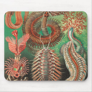 Worms, Annelids Chaetopoda by Ernst Haeckel Mouse Pad