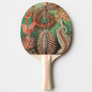 Worms, Annelids Chaetopoda by Ernst Haeckel Ping Pong Paddle