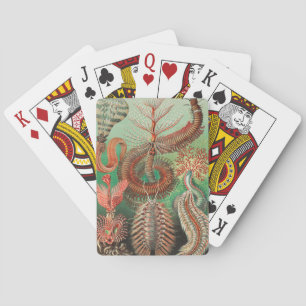 Worms, Annelids Chaetopoda by Ernst Haeckel Playing Cards