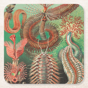 Worms, Annelids Chaetopoda by Ernst Haeckel Square Paper Coaster