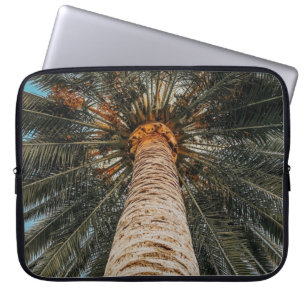 Worm's eye view of a coconut tree laptop sleeve