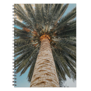 Worm's eye view of a coconut tree notebook