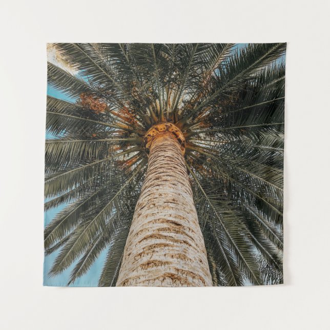 Worm's eye view of a coconut tree tapestry (Front)