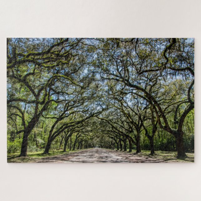 Wormsloe Historic Site Jigsaw Puzzle (Horizontal)