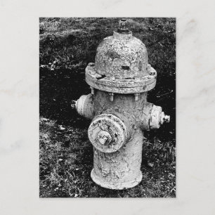 Worn Chipped Rusty Old Fire Hydrant Photo Postcard