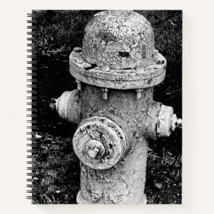 Worn Chipped Rusty Old Fire Hydrant Photograph Notebook
