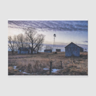 Worn Down Grey Barns in a Brown Grass Field Tissue Paper