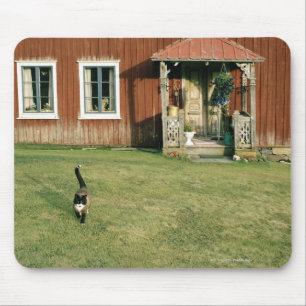 Worn red house with a cat on the lawn. mouse pad