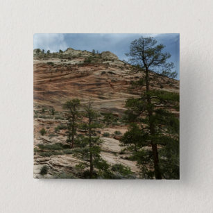 Worn Rock Walls in Zion National Park 15 Cm Square Badge