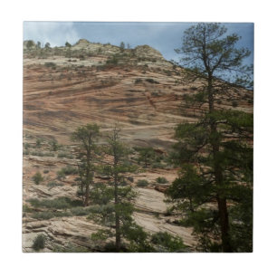 Worn Rock Walls in Zion National Park Ceramic Tile