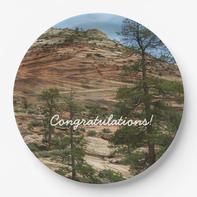 Worn Rock Walls in Zion National Park Paper Plate (Front)