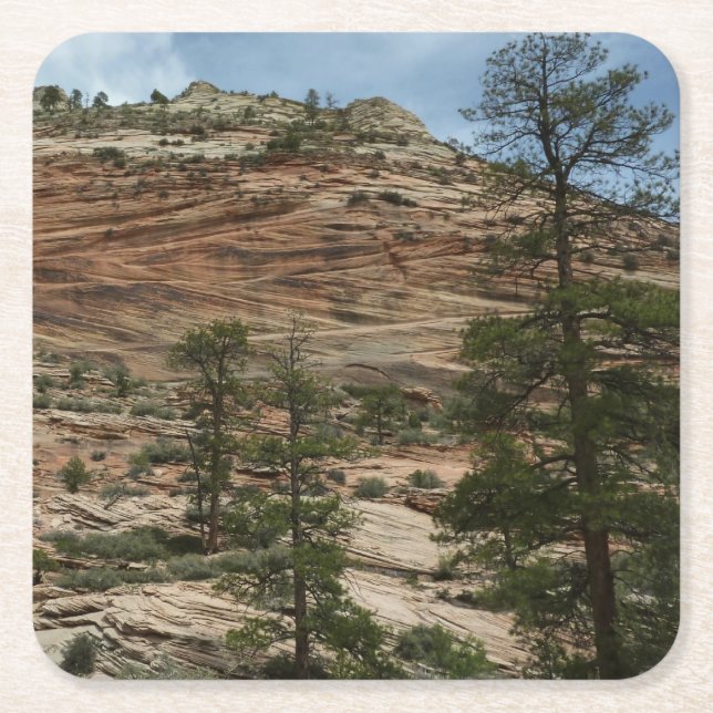 Worn Rock Walls in Zion National Park Square Paper Coaster (Front)