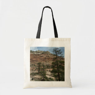 Worn Rock Walls in Zion National Park Tote Bag