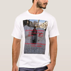 Worst Snow in Boston T-Shirt