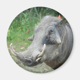 wort-hog10x10 magnet