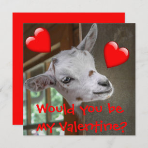 Would You Be My Valentine? Goat Funny Card