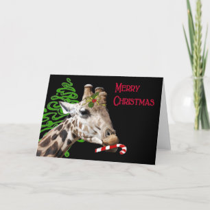 Would you like Candy Cane? Holiday Card
