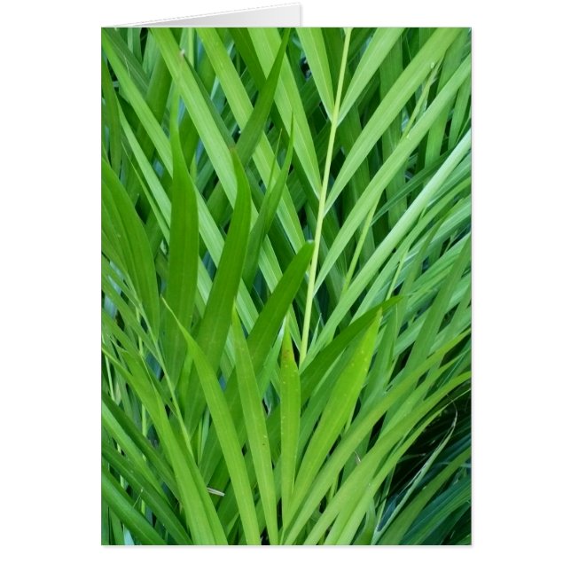 Woven In Green (Front)