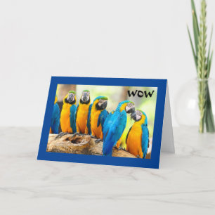 WOW--"21"-HOW COOL IS THAT! CARD