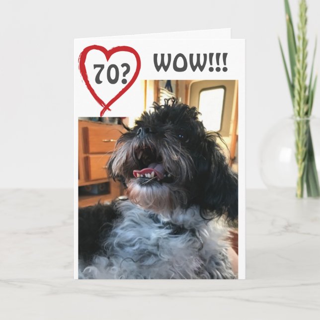 **WOW** AND **WHOO WHO** YOUR  **70th**BIRTHDAY Card (Front)