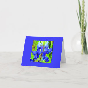 WOW Bluebonnet note card