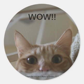 WOW!! cat sticker