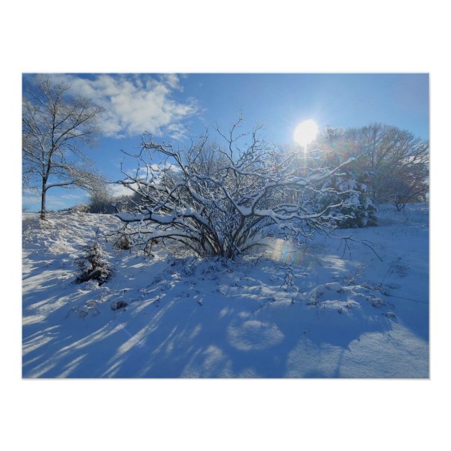 Wow is the Winter of Artist Content Poster (Front)