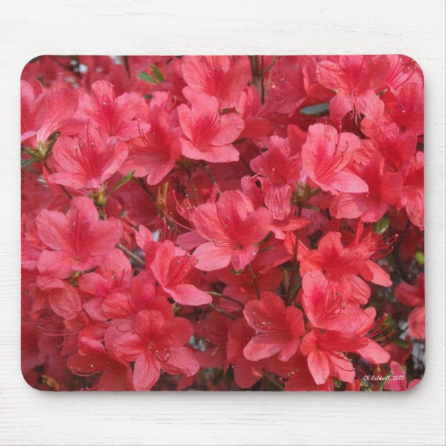 Wow! Mouse Pad (Front)