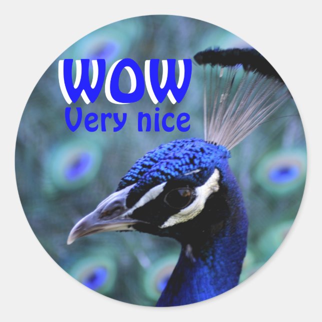 WOW very nice Classic Round Sticker (Front)