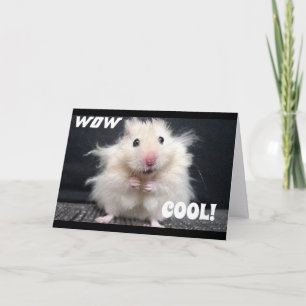 WOW YOU ARE **50** SAYS COOL HAMSTER CARD