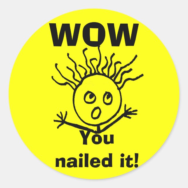 WOW, You nailed it! Classic Round Sticker (Front)