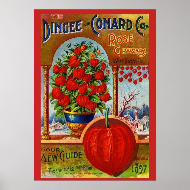 WQ POSTER: Chinese Lantern Poster (Front)