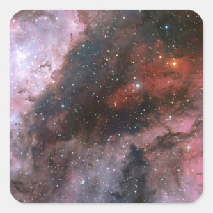 WR 22 and Eta Carinae regions of the Carina Nebula Square Sticker
