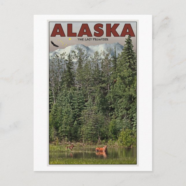 Wrangell-St Elias - The Last Frontier Postcard (Front)