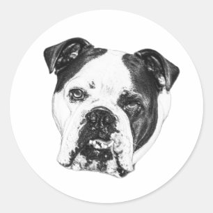 Wrap Seal Bulldog